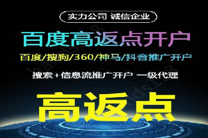 竞价广告与自然搜索的结合策略：XX网站的案例分析